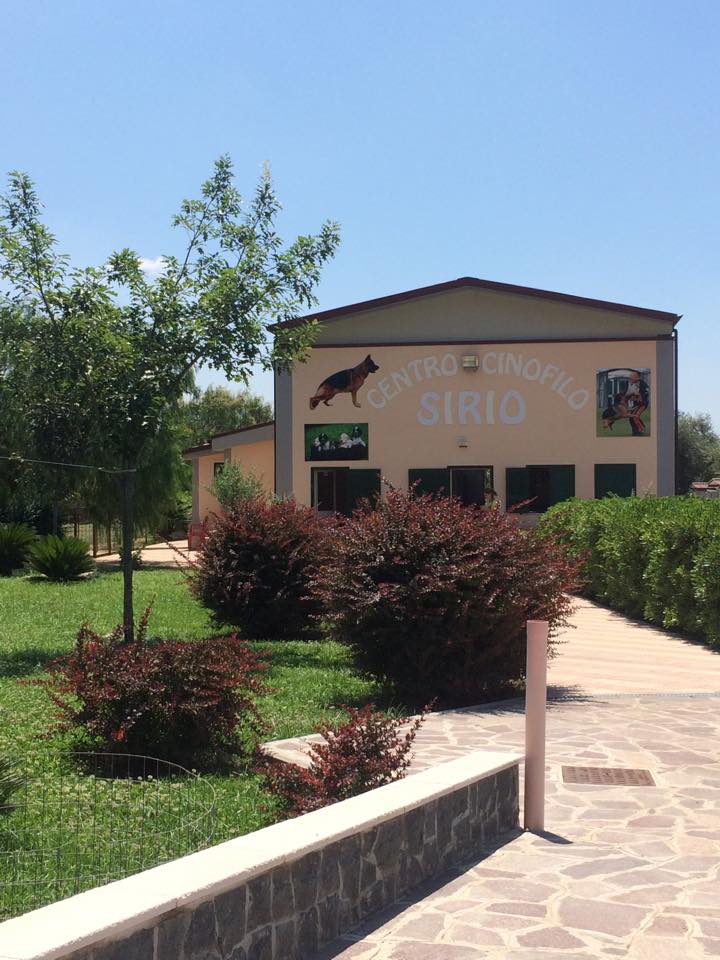 Centro cinofilo a San Prisco